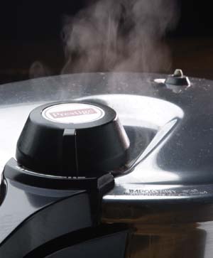 cocotte