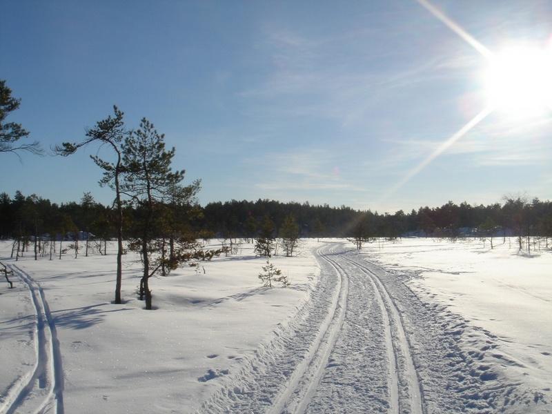 neige
